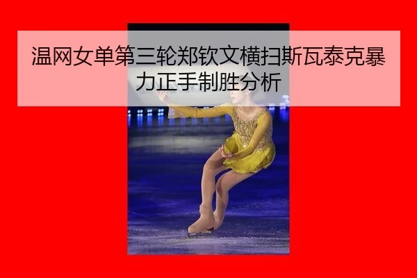 wen-wang-nv-dan-di-san-lun-zheng-qin-wen-heng-sao-si-wa-tai-ke-bao-li-zheng-shou-zhi-sheng-fen-xi-3-207.jpg