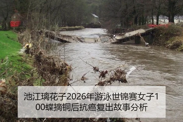 池江璃花子2026年游泳世锦赛女子100蝶摘铜后抗癌复出故事分析