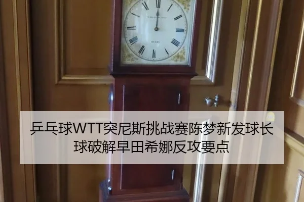 ping-pang-qiu-tu-ni-si-tiao-zhan-sai-chen-meng-xin-fa-qiu-zhang-qiu-po-jie-zao-tian-xi-na-fan-gong-yao-dian-2-526.jpg